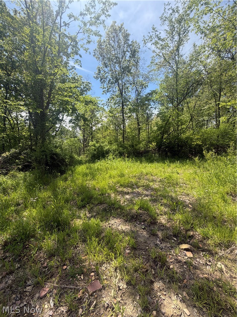 Southeast Robinhood Road Southeast Dennison, OH 44621 - Photo 6 of 7