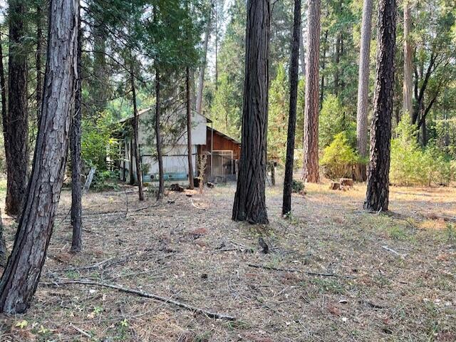 6392 Pleasant Creek Road Rogue River, OR 97537 - Photo 15 of 19 IMG_6861
