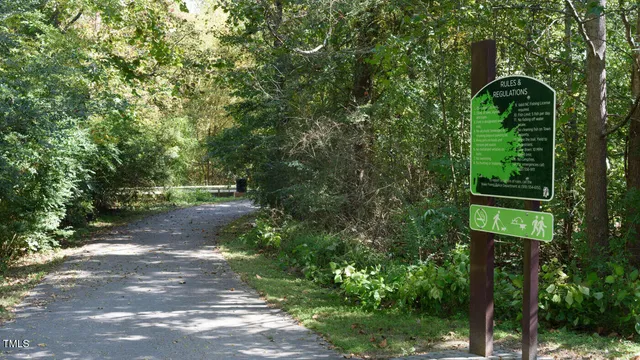 a view of a park with large trees