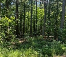 0 White Loaf Road Southampton, MA 01073 - Photo 1 of 1 Gallery Image 1
