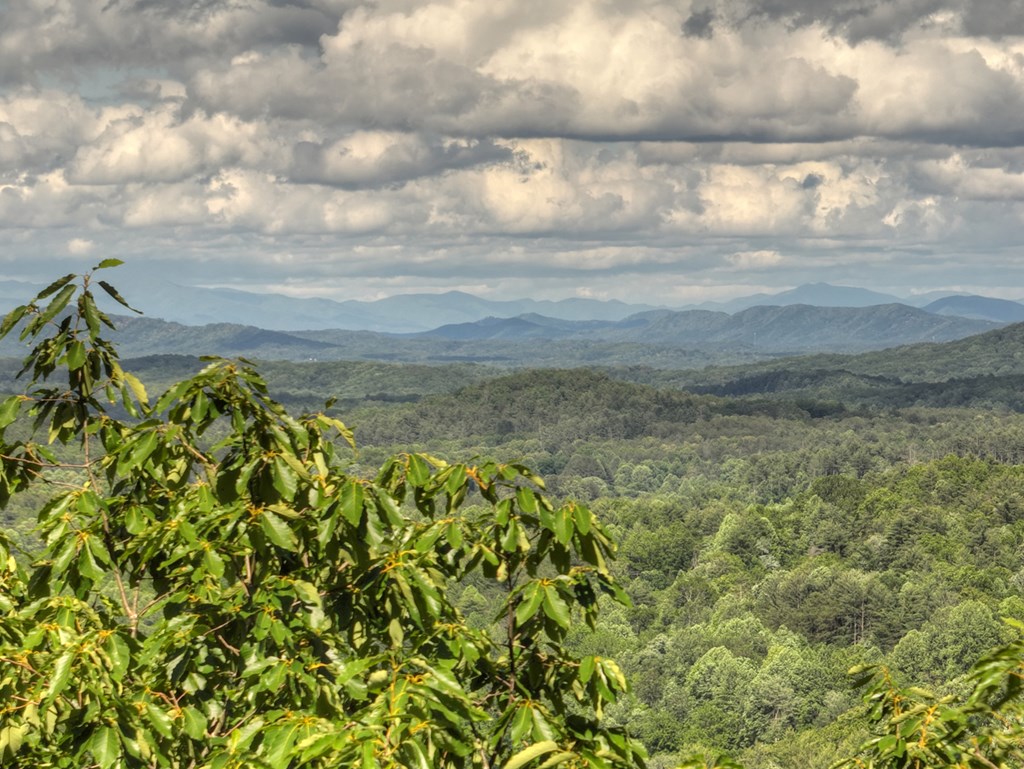 0 Menagerie Ridge Epworth, GA 30541 - Photo 11 of 21