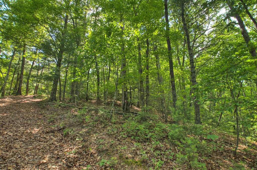 0 Menagerie Ridge Epworth, GA 30541 - Photo 12 of 21