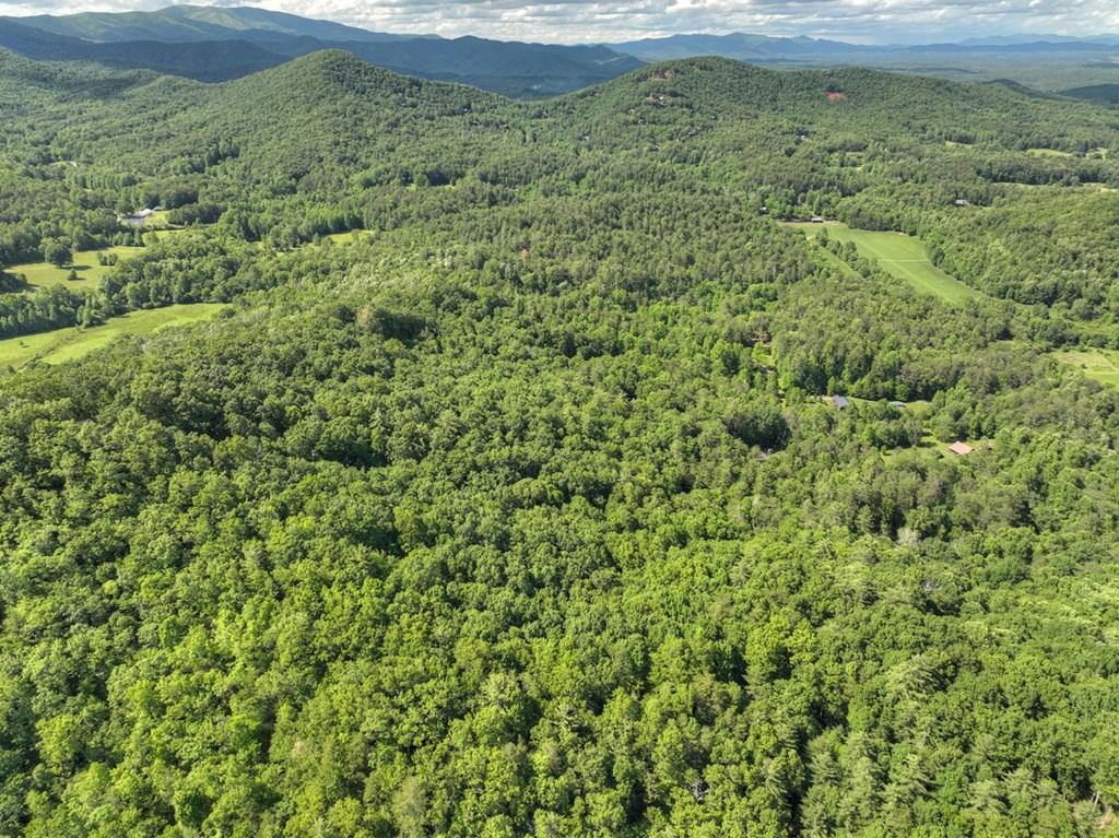 0 Menagerie Ridge Epworth, GA 30541 - Photo 13 of 21