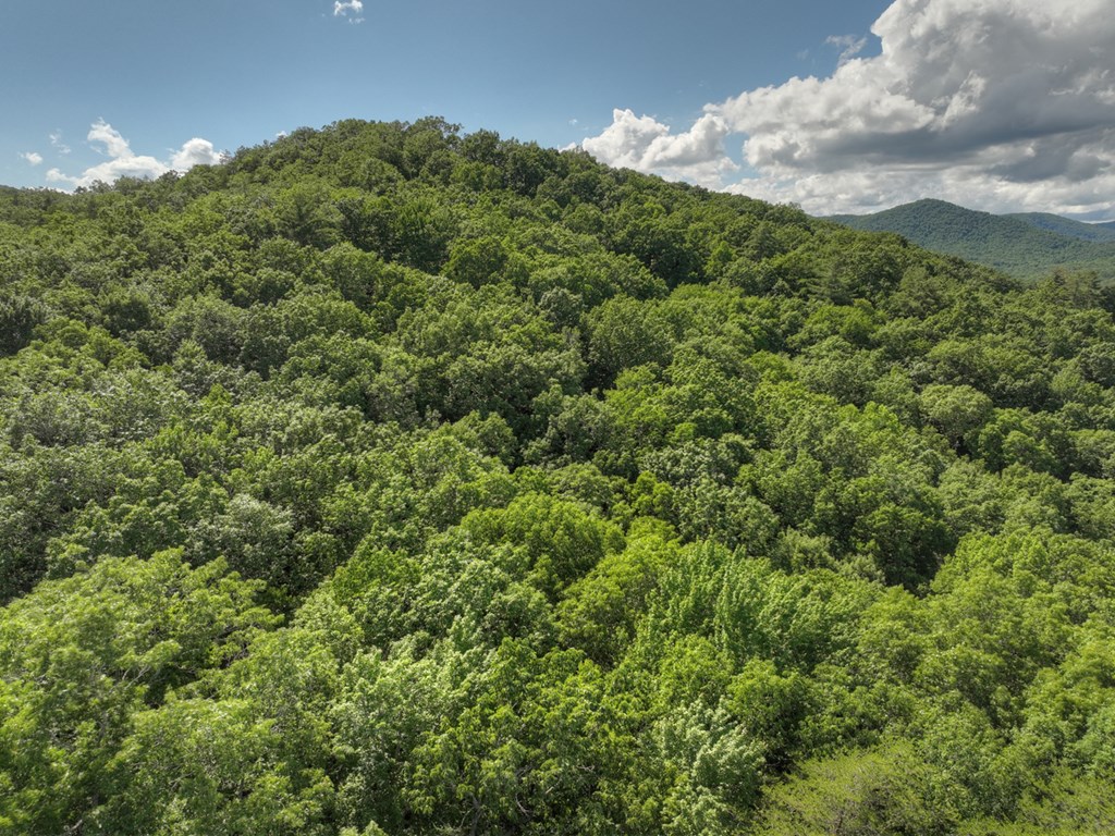 0 Menagerie Ridge Epworth, GA 30541 - Photo 15 of 21