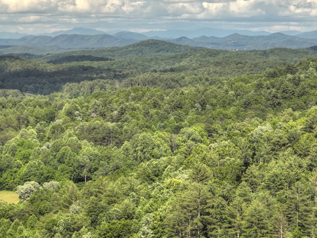 0 Menagerie Ridge Epworth, GA 30541 - Photo 16 of 21