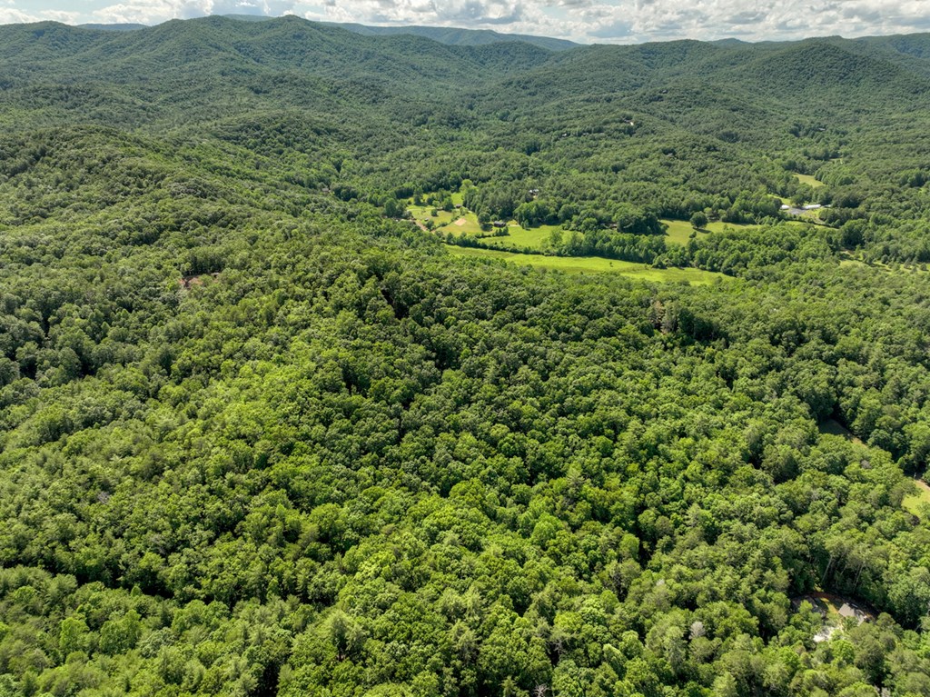 0 Menagerie Ridge Epworth, GA 30541 - Photo 17 of 21