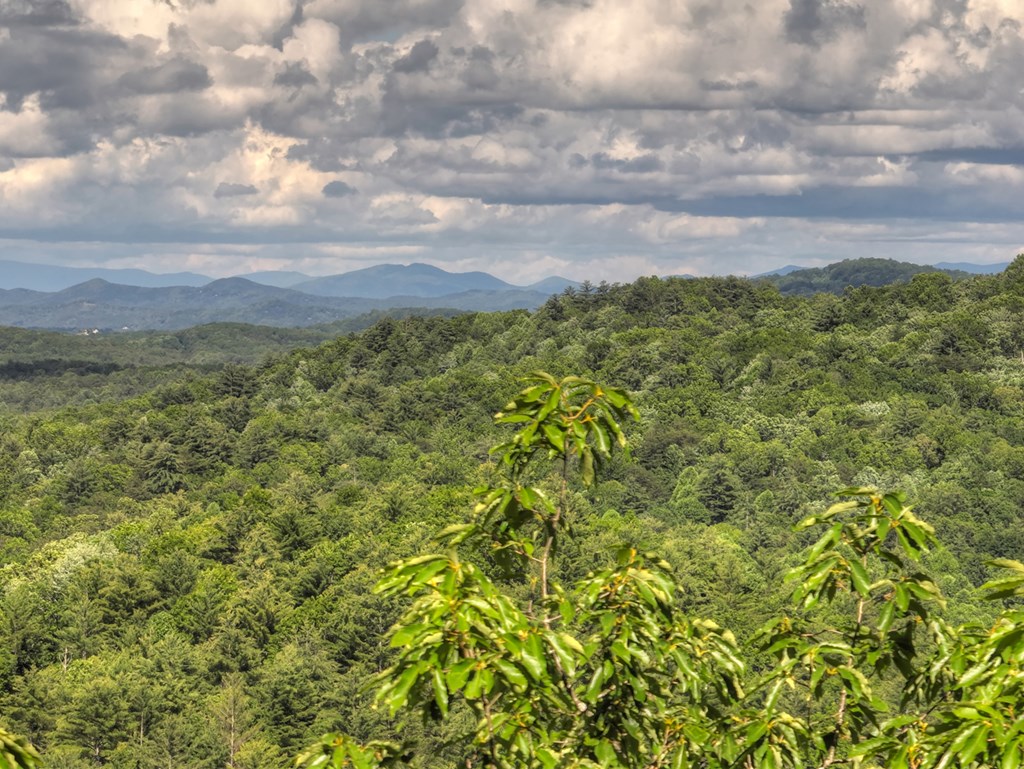 0 Menagerie Ridge Epworth, GA 30541 - Photo 18 of 21