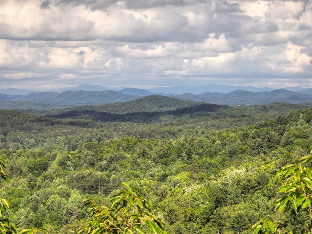 0 Menagerie Ridge Epworth, GA 30541 - Photo 19 of 21