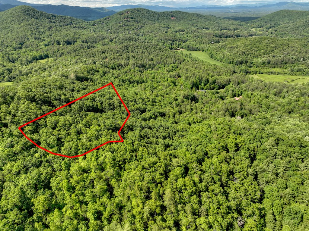 0 Menagerie Ridge Epworth, GA 30541 - Photo 20 of 21