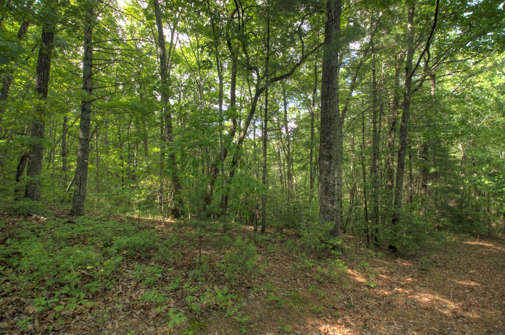 0 Menagerie Ridge Epworth, GA 30541 - Photo 2 of 21