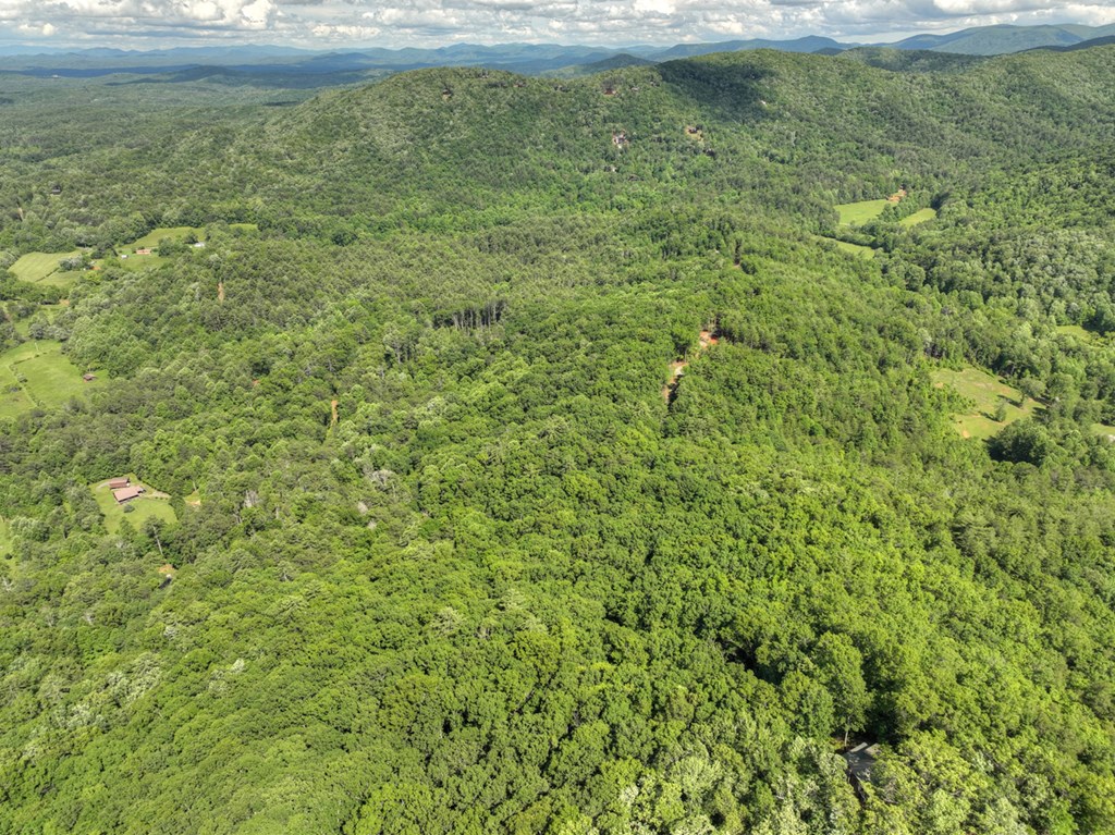 0 Menagerie Ridge Epworth, GA 30541 - Photo 21 of 21