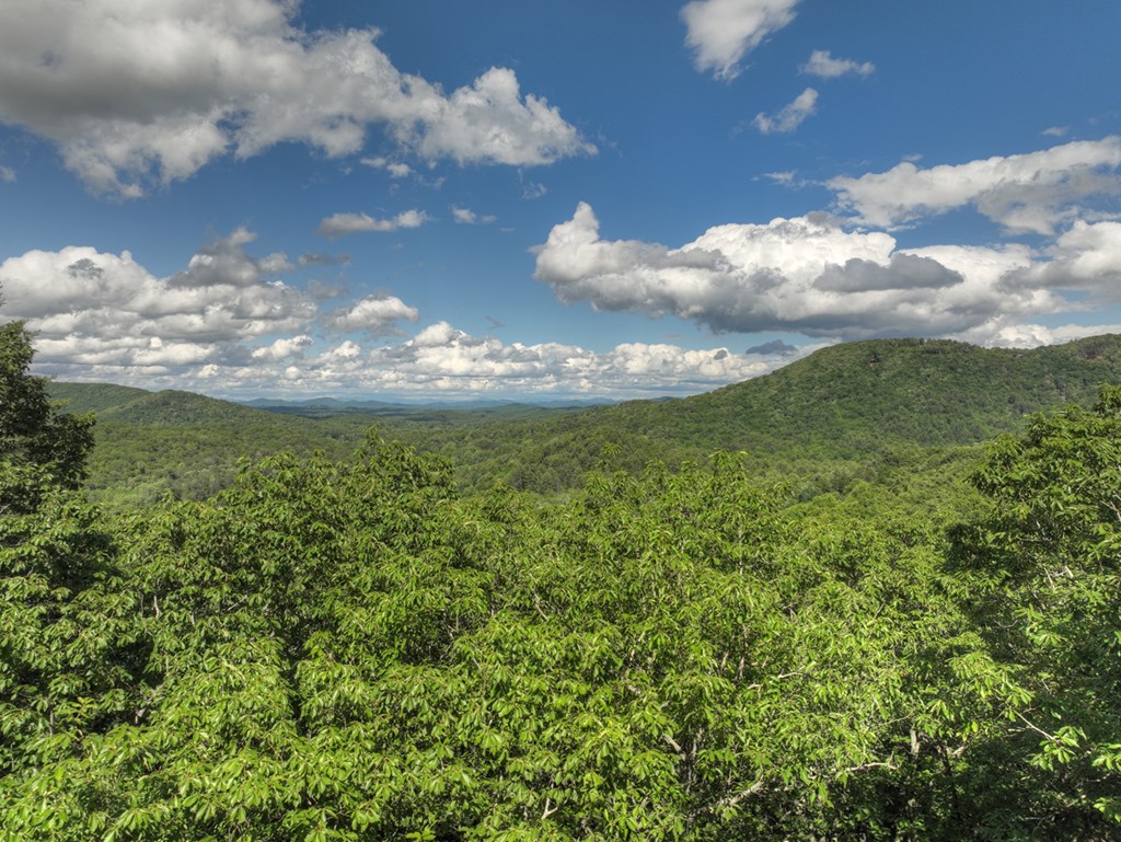 0 Menagerie Ridge Epworth, GA 30541 - Photo 3 of 21