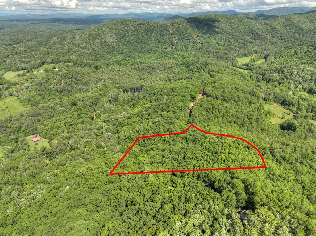 0 Menagerie Ridge Epworth, GA 30541 - Photo 4 of 21