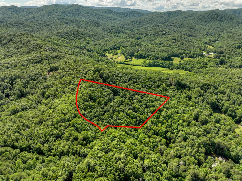 0 Menagerie Ridge Epworth, GA 30541 - Photo 5 of 21