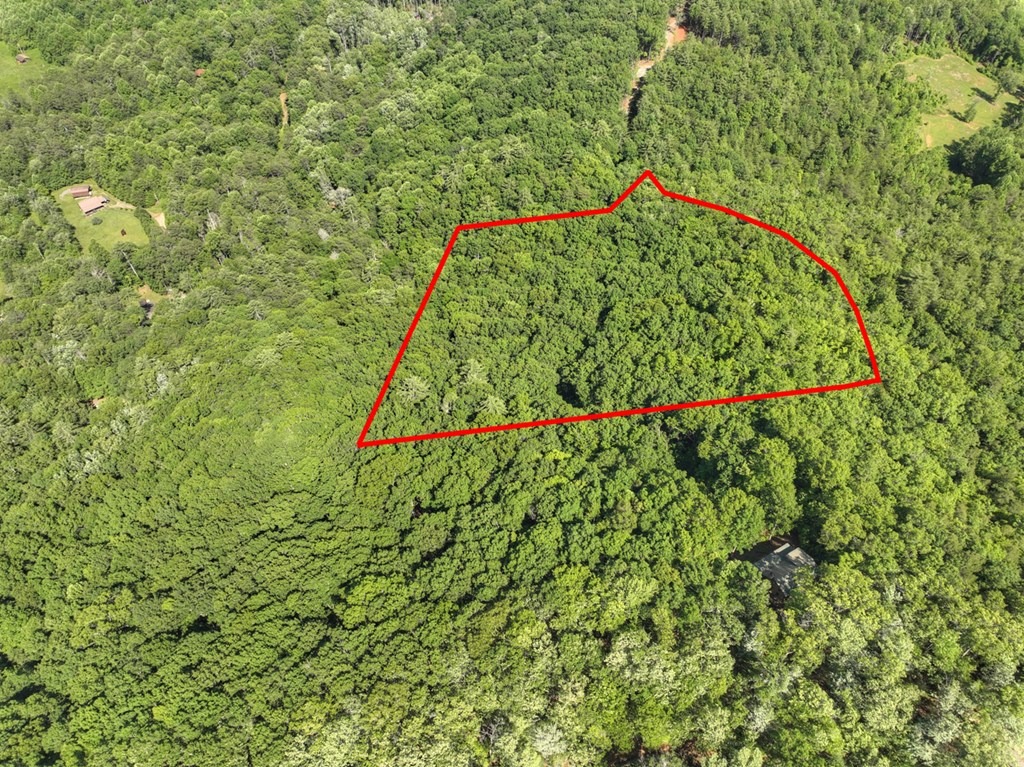 0 Menagerie Ridge Epworth, GA 30541 - Photo 6 of 21