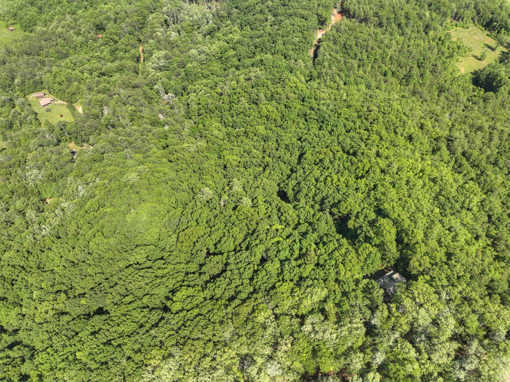 0 Menagerie Ridge Epworth, GA 30541 - Photo 7 of 21