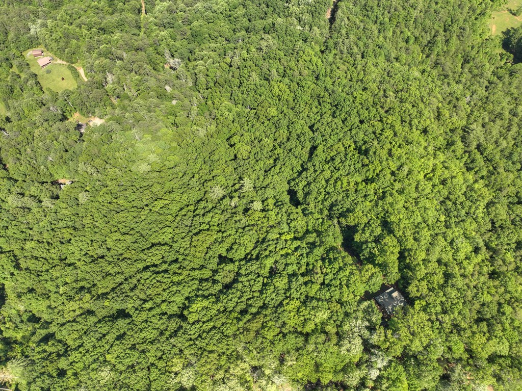 0 Menagerie Ridge Epworth, GA 30541 - Photo 8 of 21