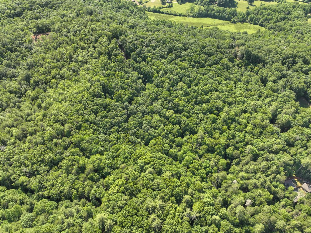 0 Menagerie Ridge Epworth, GA 30541 - Photo 9 of 21