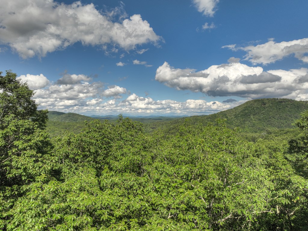 0 Menagerie Ridge Epworth, GA 30541 - Photo 10 of 21