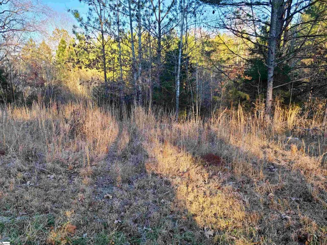 $171,000 | Teague Road, Mountville, SC 29370