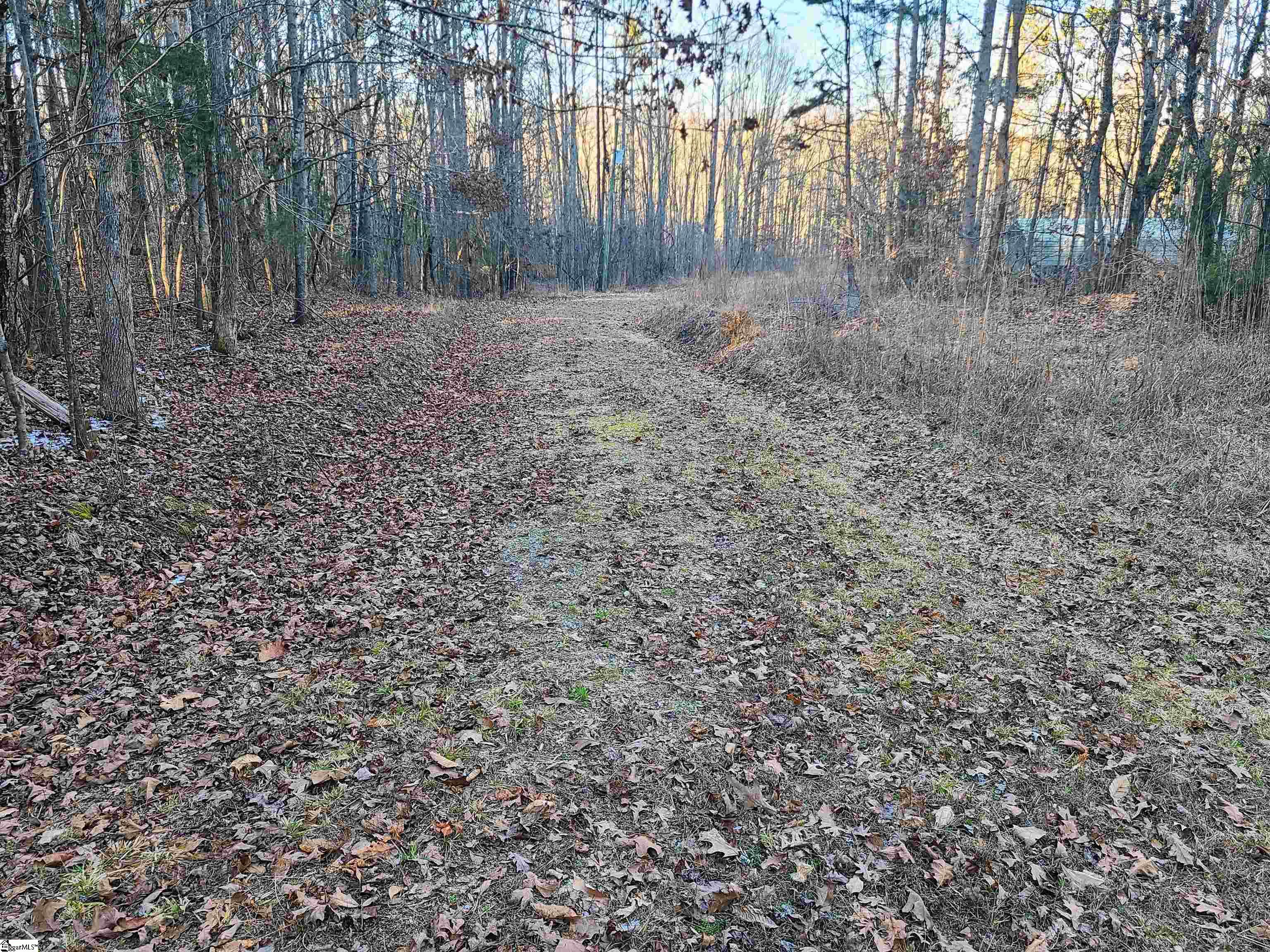 Teague Road Mountville, SC 29370 - Photo 3 of 13 Gallery Image 3