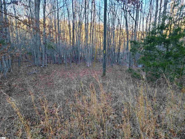 $171,000 | Teague Road, Mountville, SC 29370