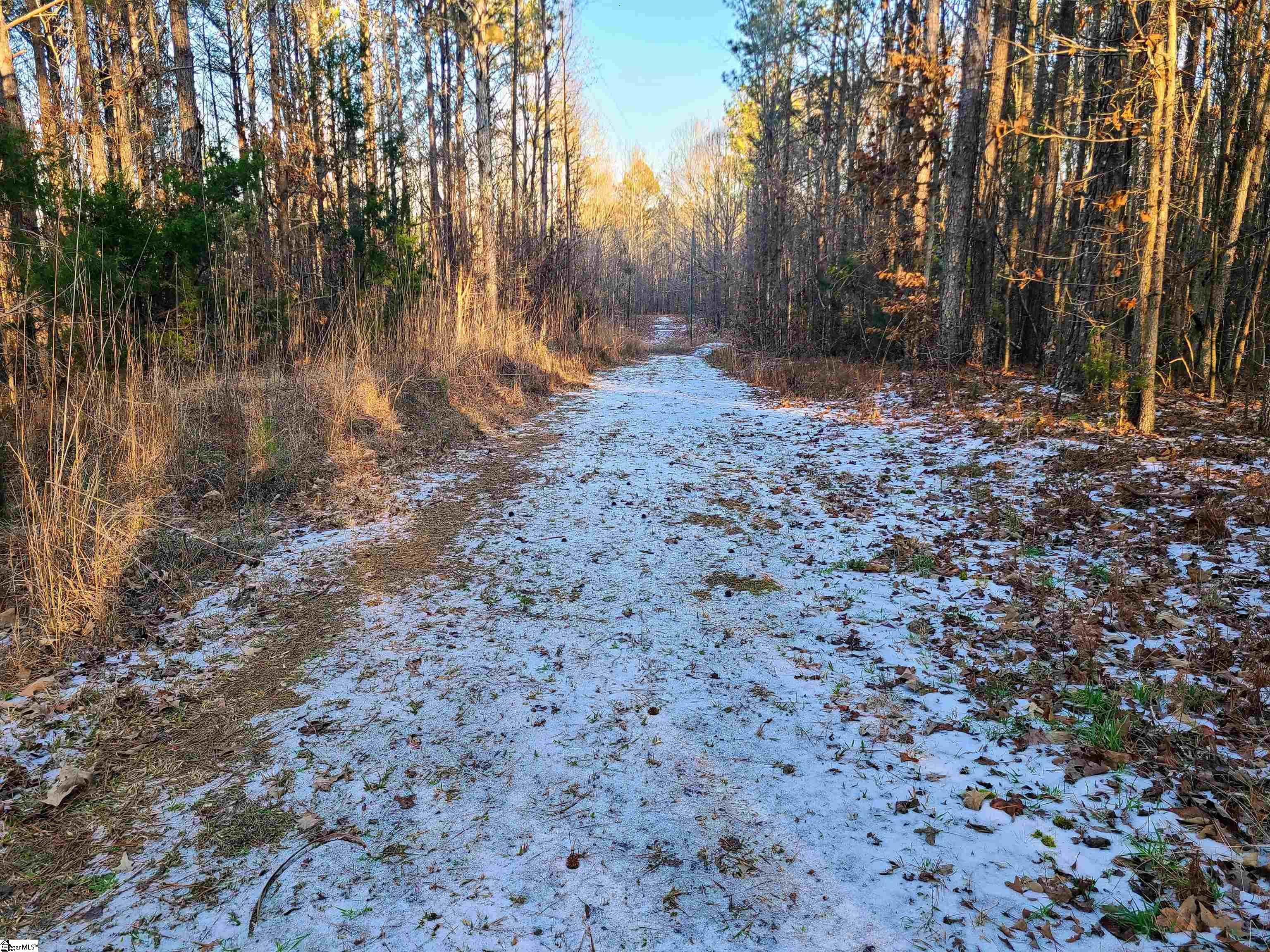 Teague Road Mountville, SC 29370 - Photo 4 of 13 Gallery Image 4