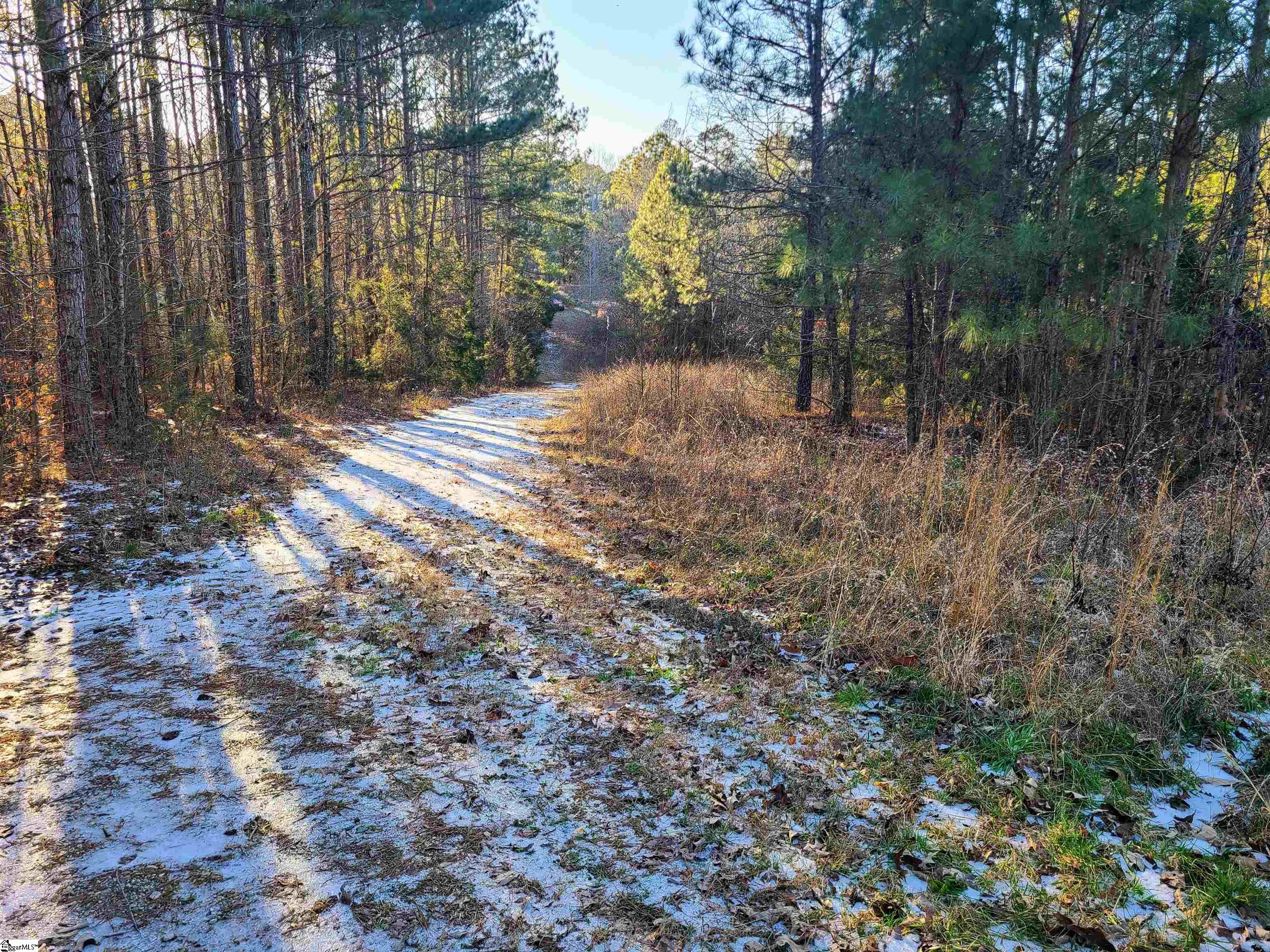 Teague Road Mountville, SC 29370 - Photo 5 of 13 Gallery Image 5