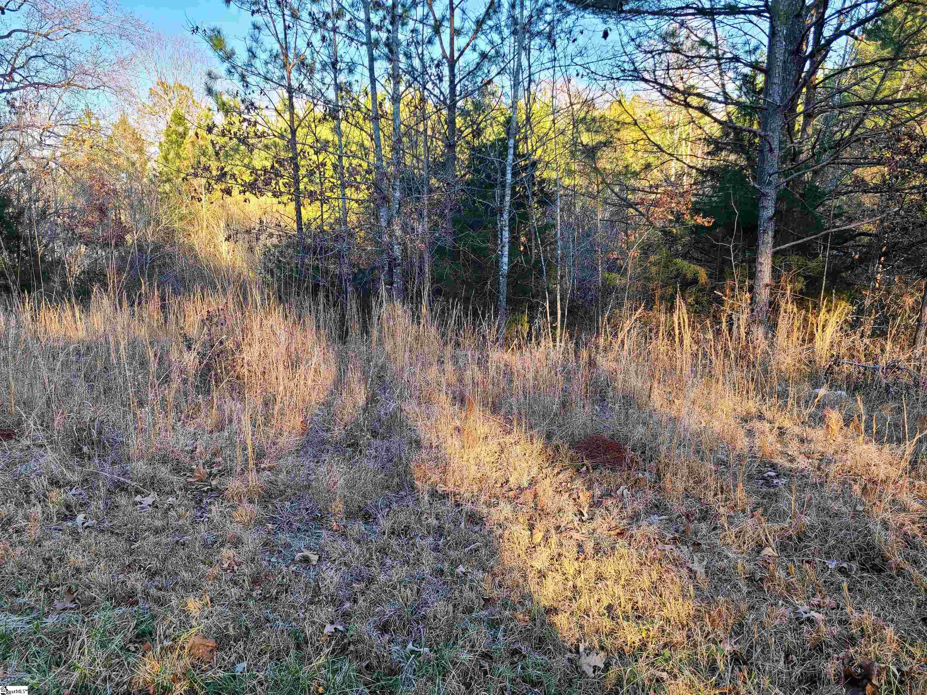 Teague Road Mountville, SC 29370 - Photo 7 of 13 Gallery Image 7