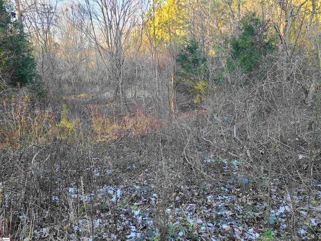 $171,000 | Teague Road, Mountville, SC 29370