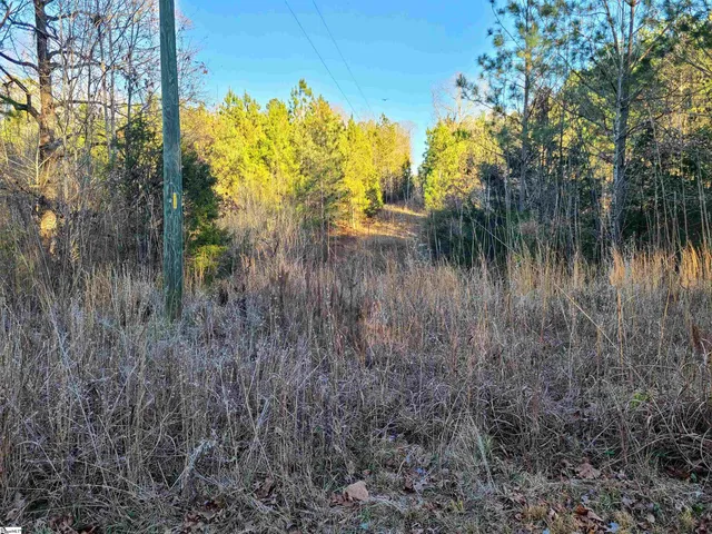$171,000 | Teague Road, Mountville, SC 29370