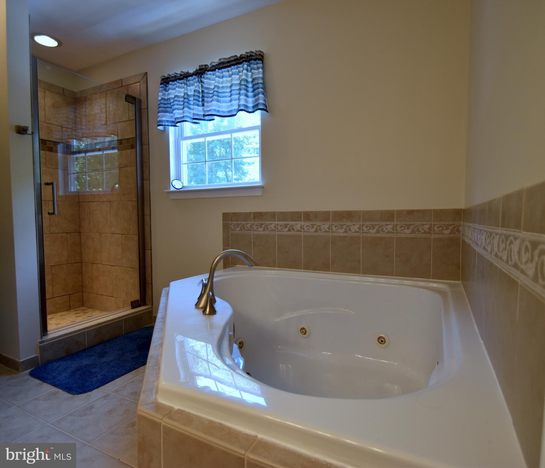 412 Merrick Corner Road Church Hill, MD 21623 - Photo 12 of 27 Soaking Tub with Jets