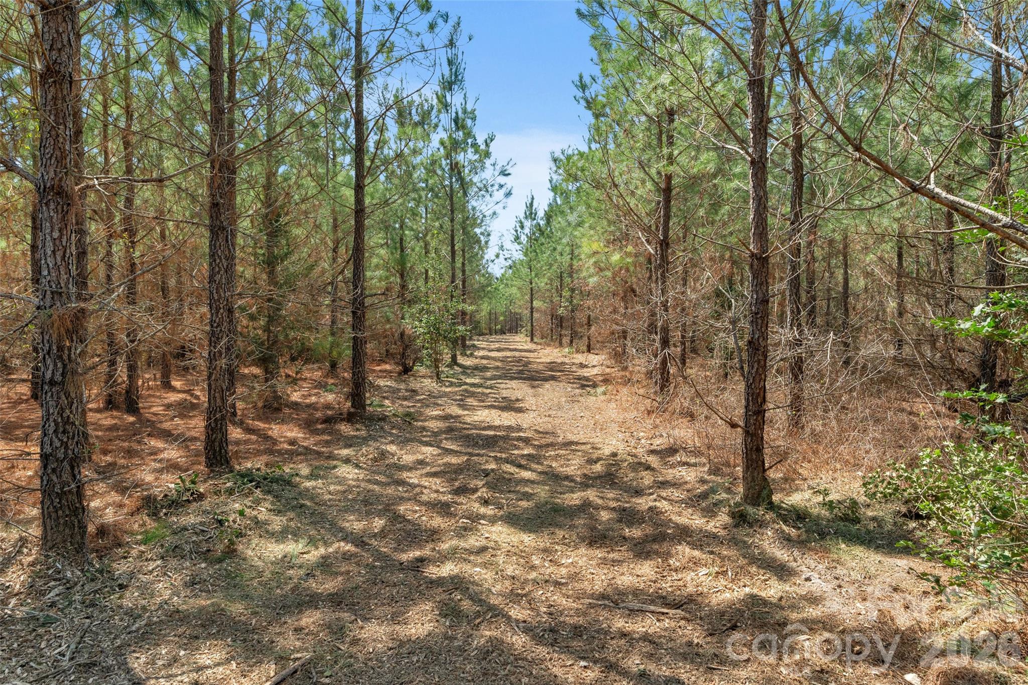 931 Charlie Johnson Road, Unit 8 Kershaw, SC 29067 - Photo 30 of 32