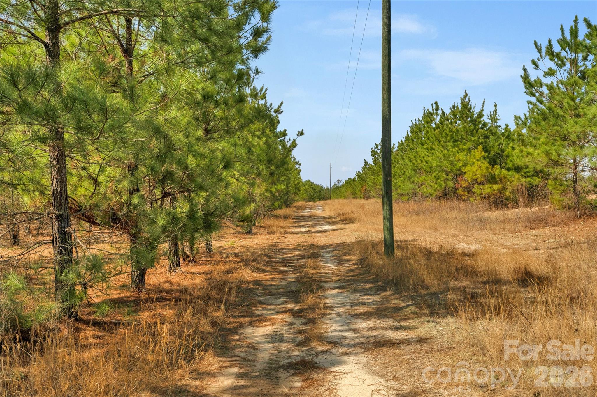 931 Charlie Johnson Road, Unit 8 Kershaw, SC 29067 - Photo 6 of 32