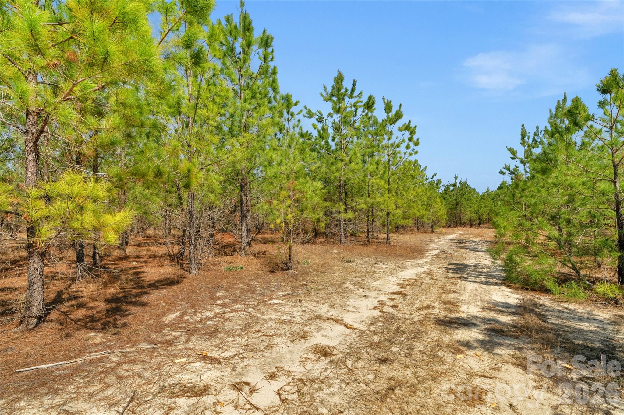 931 Charlie Johnson Road, Unit 8 Kershaw, SC 29067 - Photo 7 of 32