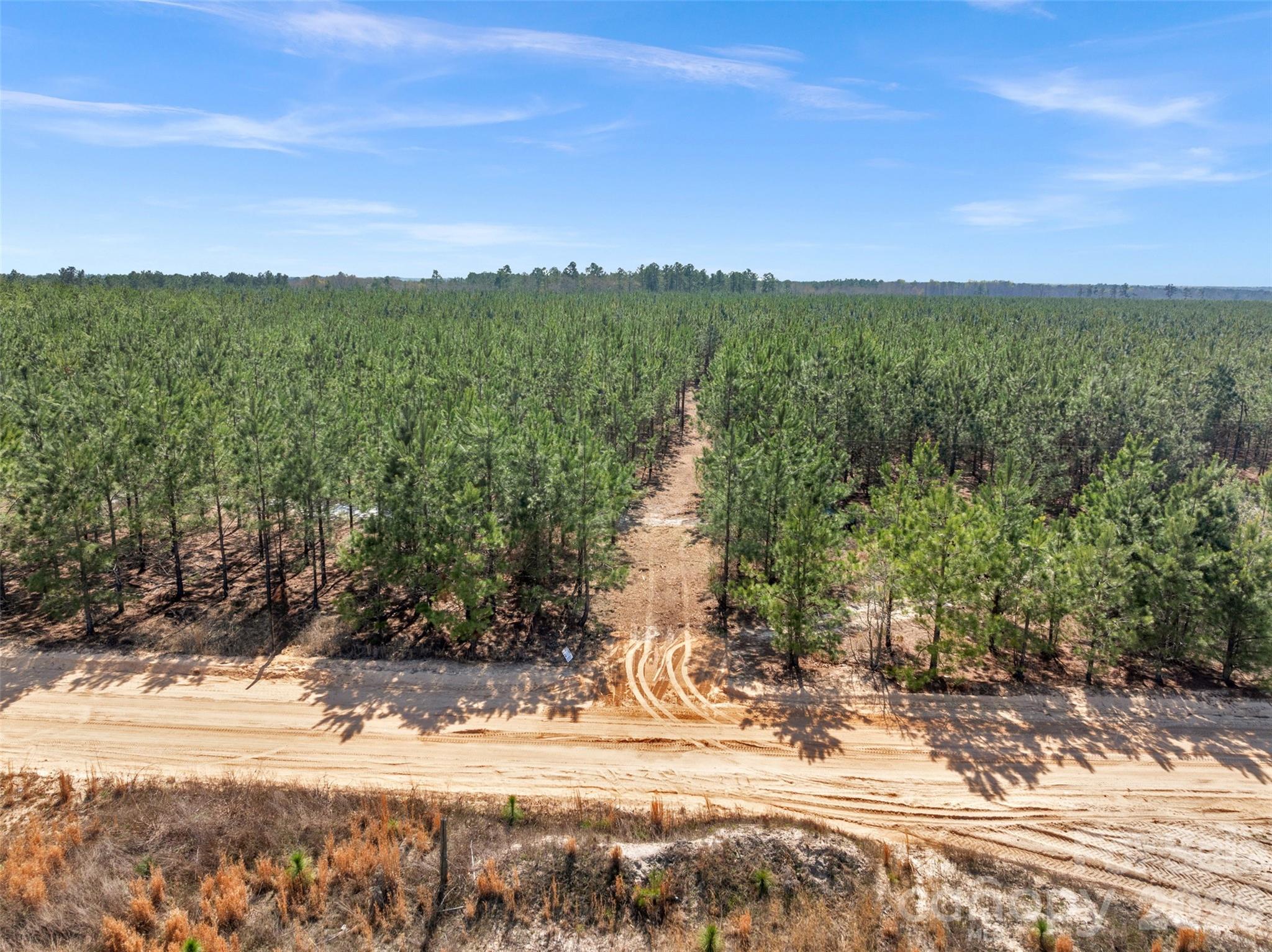 931 Charlie Johnson Road, Unit 8 Kershaw, SC 29067 - Photo 10 of 32