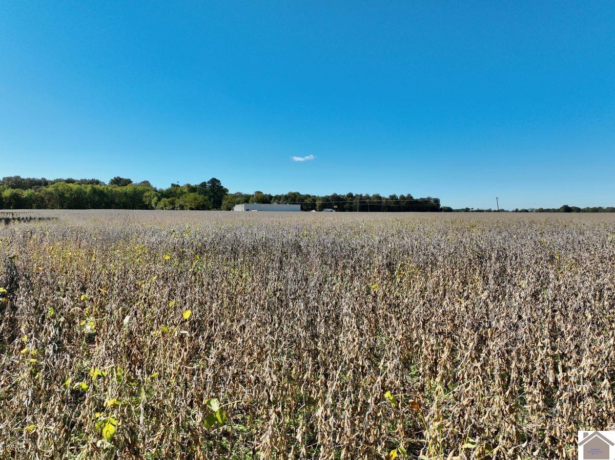 0 Kirksey Road Murray, KY 42071 - Photo 9 of 31 Photo 9