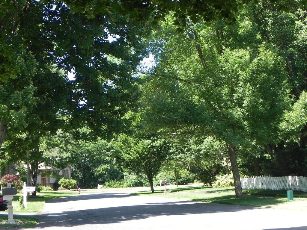 110 Sawmill Road West Springfield, MA 01089 - Photo 22 of 23