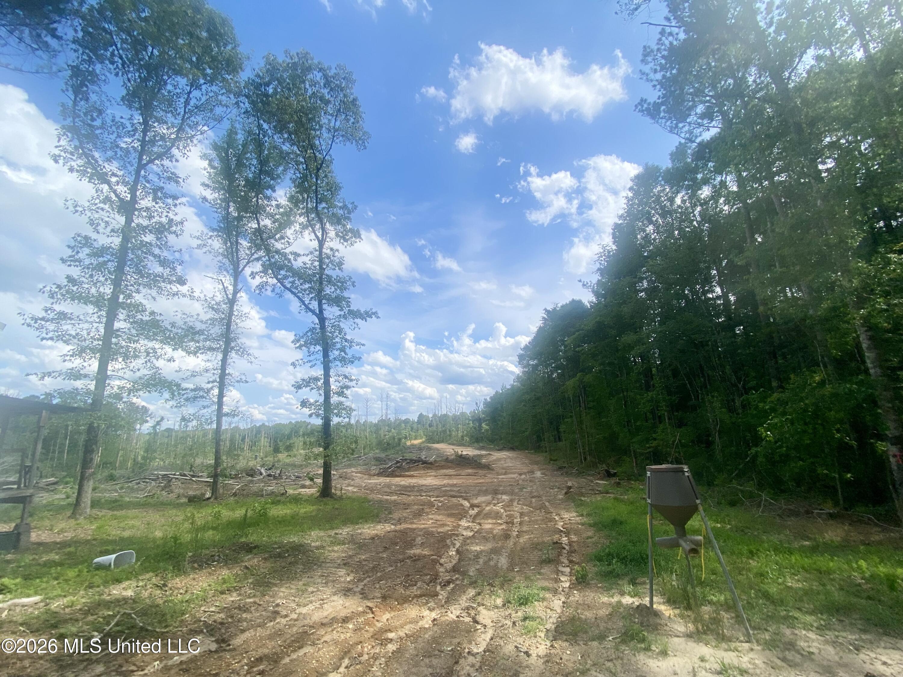 4194 Martinsville Road Wesson, MS 39191 - Photo 5 of 9 IMG_5911