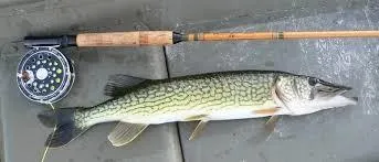 $179,900 | 2-16 Packard Road, Plymouth, ME 04969