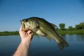 $179,900 | 2-16 Packard Road, Plymouth, ME 04969