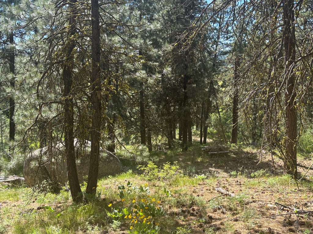 L16-b1 Lantern Way, Unit 16 Cascade, ID 83611 - Photo 13 of 39 Septic approved