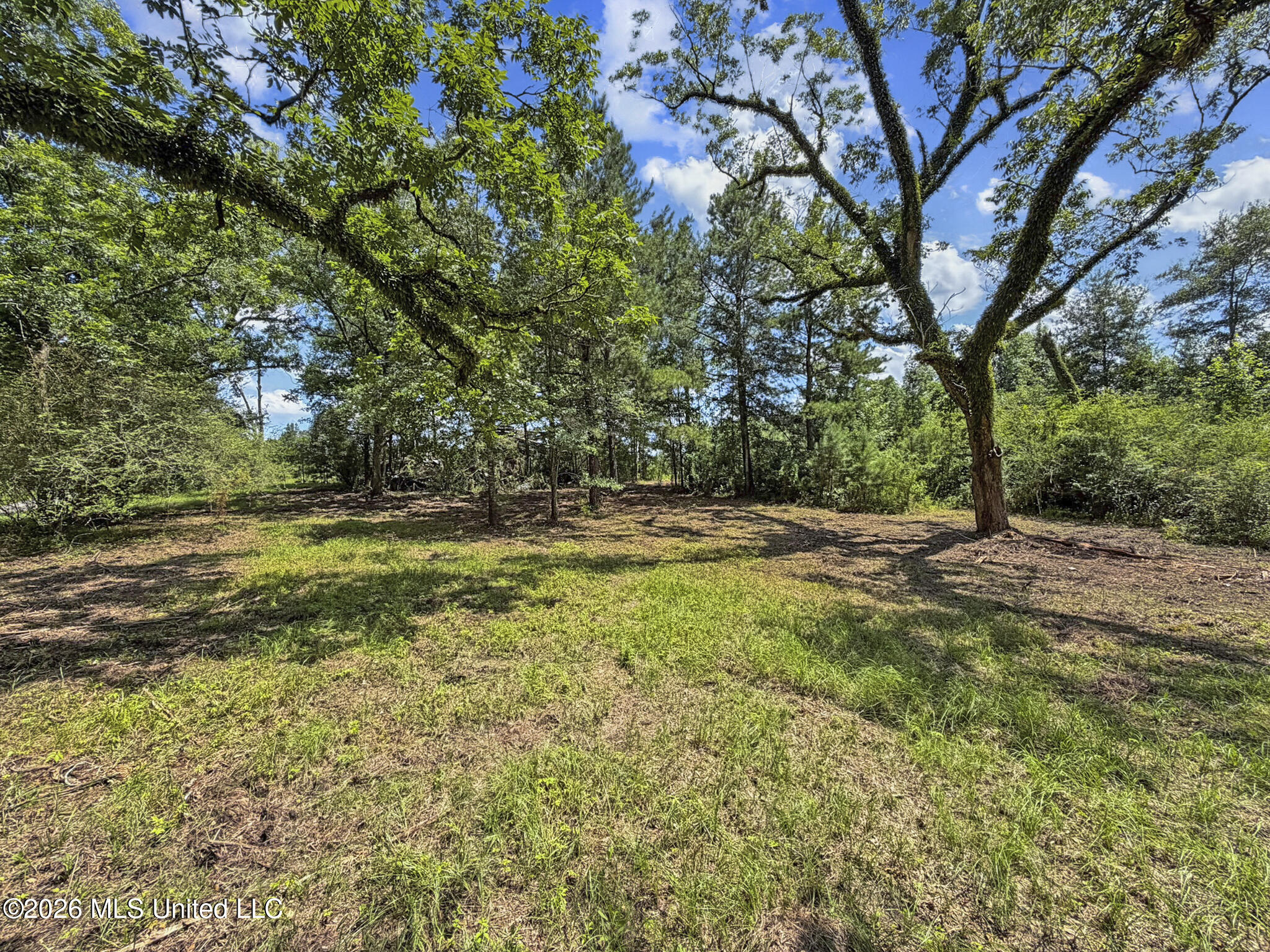 13 Co Road Louin, MS 39338 - Photo 5 of 29 IMG_3428