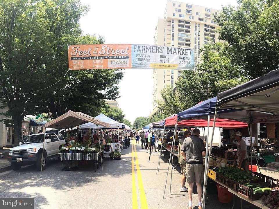 205 East Joppa Road, Unit 1907 Towson, MD 21286 - Photo 31 of 33 a view of outdoor space and patio