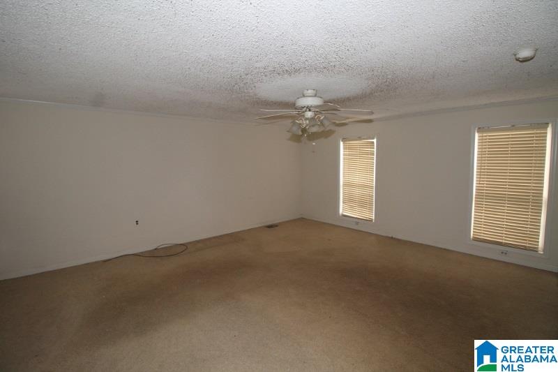 6559 Highway 11 Springville, AL 35146 - Photo 7 of 14