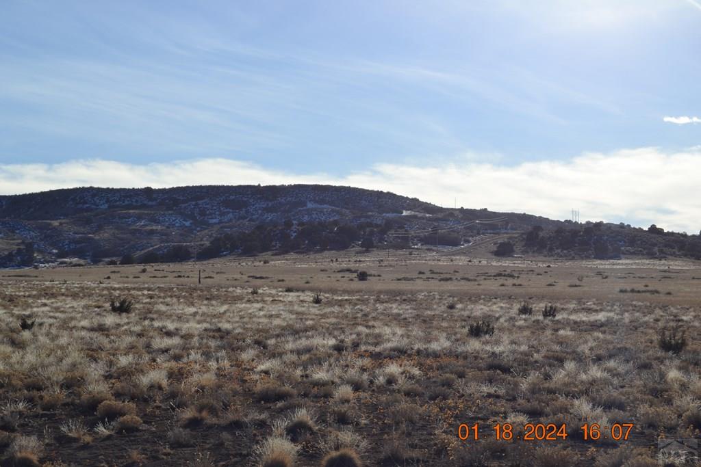 Lot 19 Pickney Road Rye, CO 81069 - Photo 5 of 10