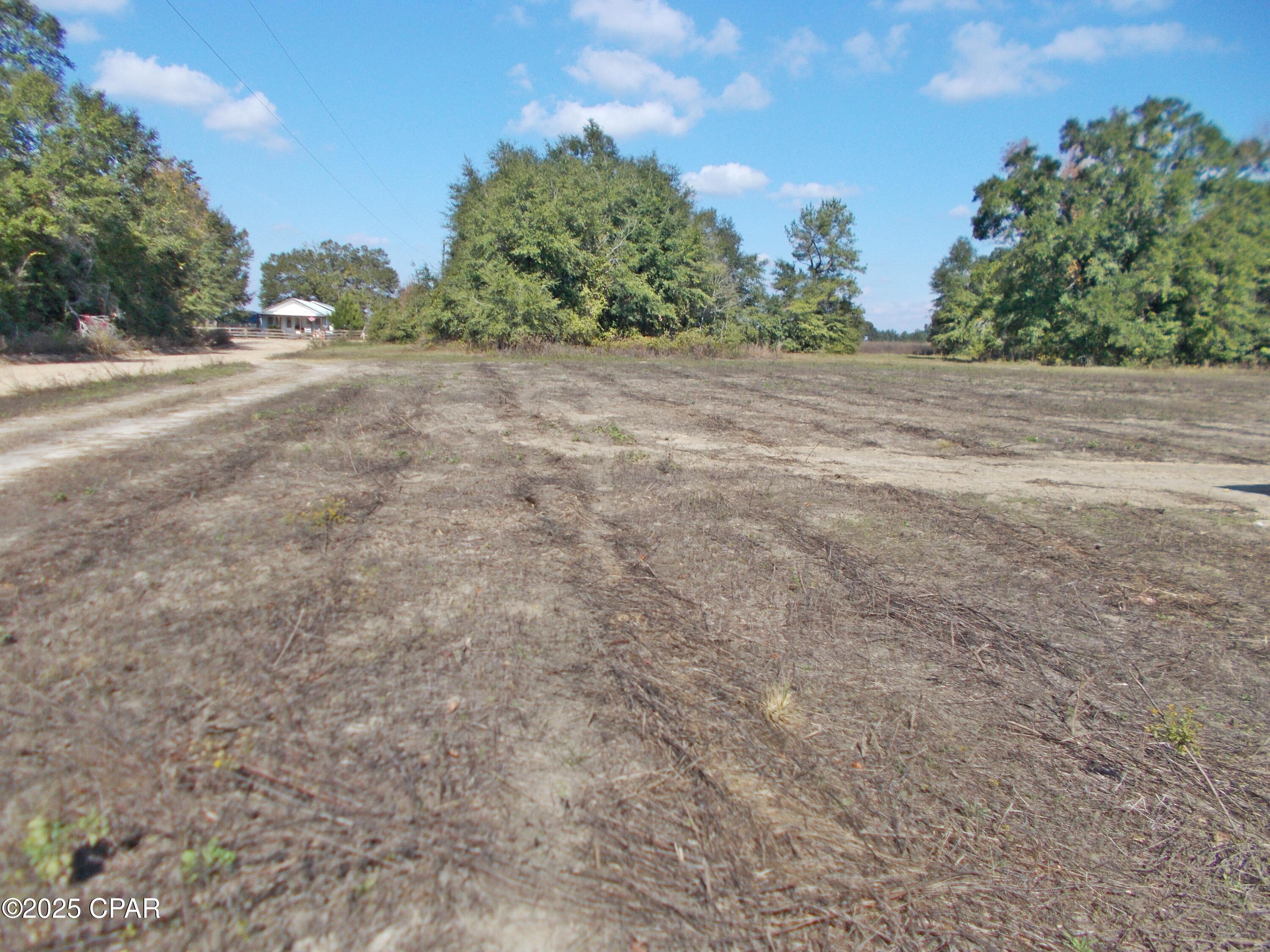 6905 Bateau Pond Road Grand Ridge, FL 32442 - Photo 19 of 24