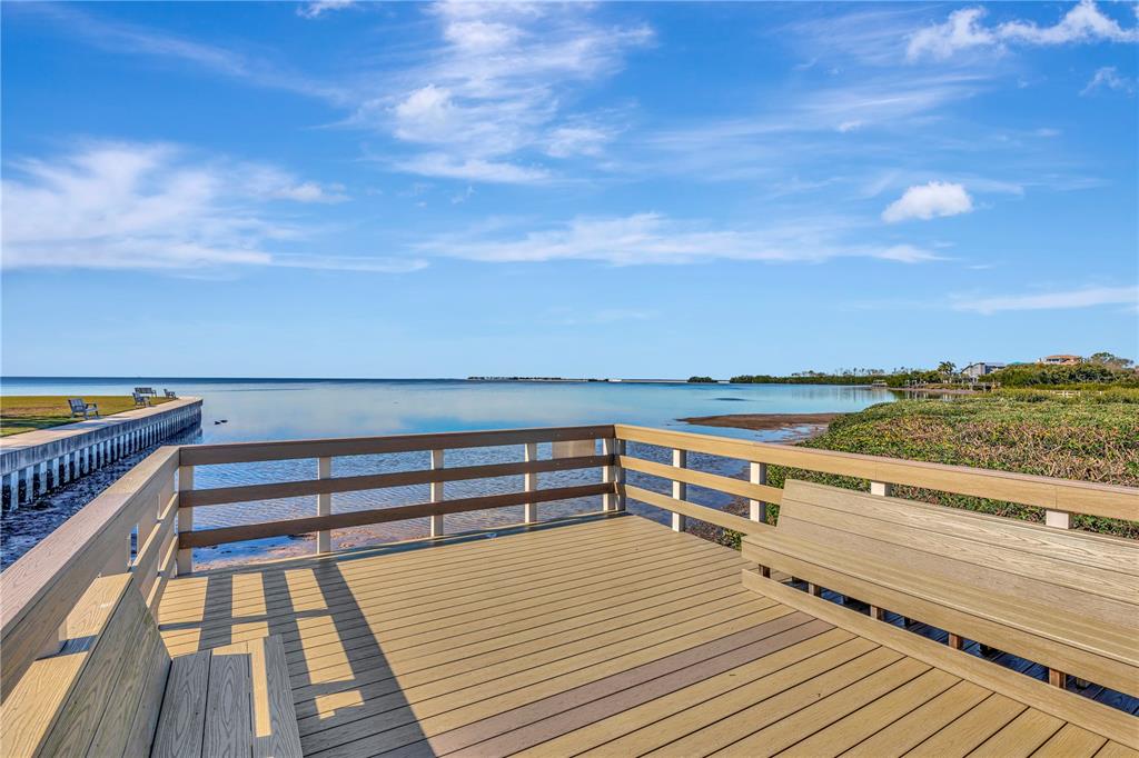 341 Windrush Loop Tarpon Springs, FL 34689 - Photo 19 of 27