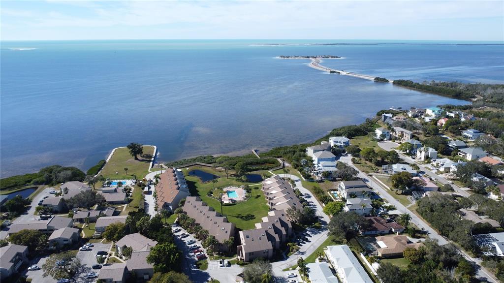 341 Windrush Loop Tarpon Springs, FL 34689 - Photo 25 of 27