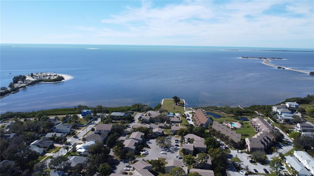 341 Windrush Loop Tarpon Springs, FL 34689 - Photo 26 of 27